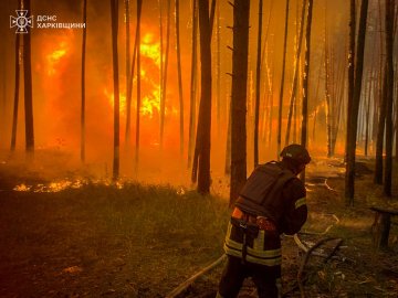 Моторошні кадри: масштабна лісова пожежа внаслідок обстрілу на Харківщині