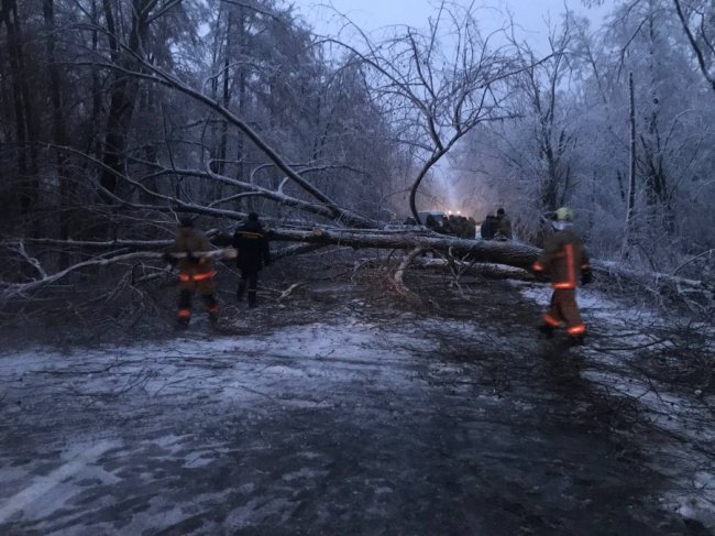 На Волині сильний вітер повалив дерева, які заблокували рух трасою