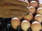 За місяць яйця на Волині здорожчали майже на 30%