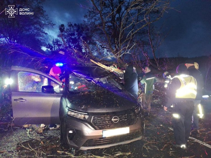 На Волині на автівку впало дерево, заблокувавши водія всередині