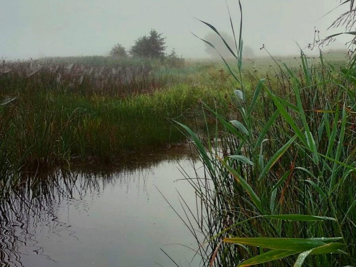 На Волині є містичне озеро, про яке розповідають легенди