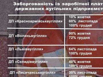 Волинським гірникам боргують 30 мільйонів гривень заробітної платні