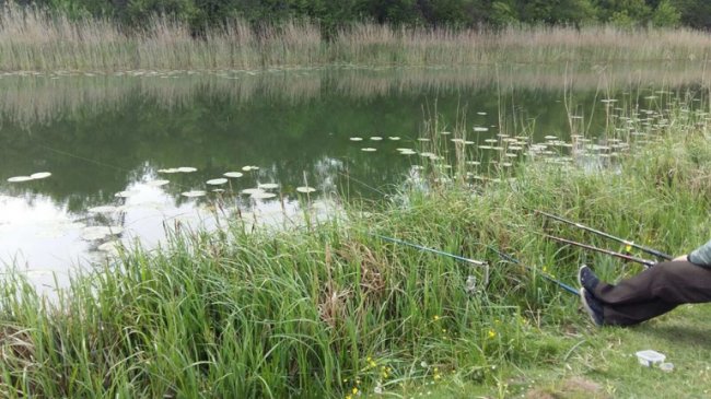 Небайдужі волиняни здали браконьєра, який ловив рибу сіткою на Стиру у Жидичині. ФОТО