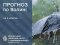 Погода в Луцьку та Волинській області на завтра, 6 жовтня
