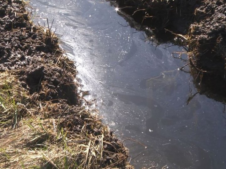 Через падіння рівня води у річках на Волині почали акумулювати воду