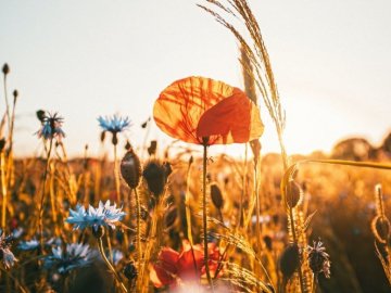 Погода у Луцьку на завтра, 3 червня