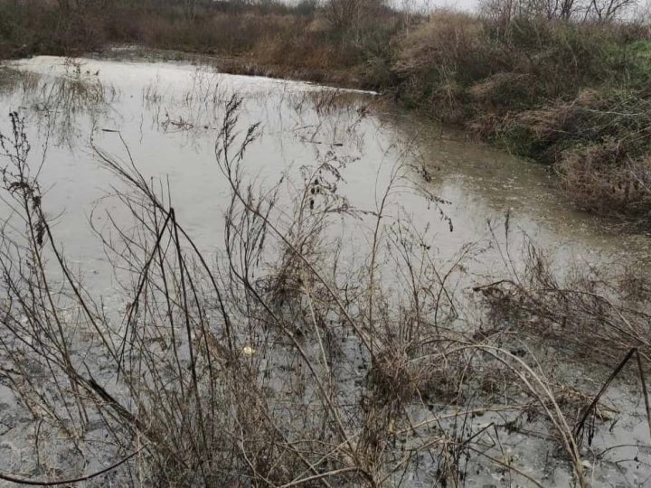 У селі біля Луцька стався витік із полів фільтрації. ФОТО