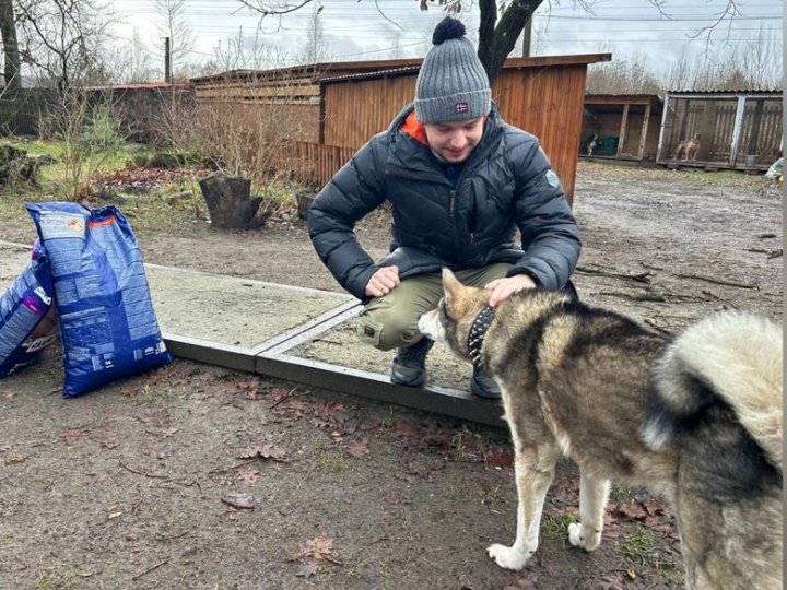 «Таємний Санта для безпритульних тварин»: волинські активісти збирають корм для собак і котів