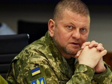 У Байдена розповіли, що думають про можливу відставку Залужного