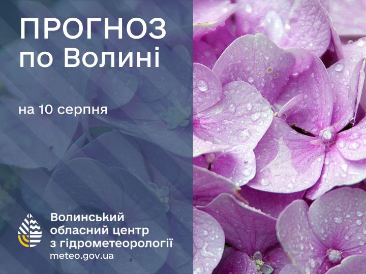 Погода в Луцьку та Волинській області на завтра, 10 серпня