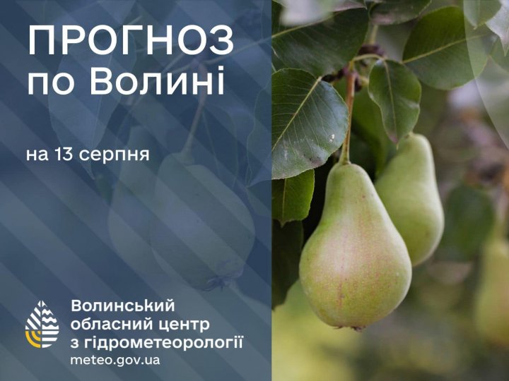 Погода в Луцьку та Волинській області на завтра, 13 серпня