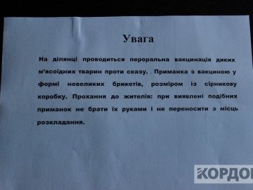 На Волині диких тварин вакцинують проти сказу: задіяли літаки