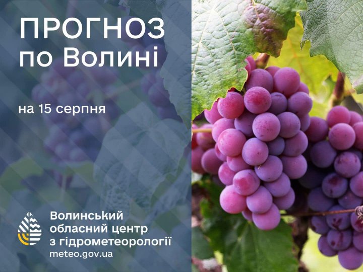 Погода в Луцьку та Волинській області на завтра, 15 серпня