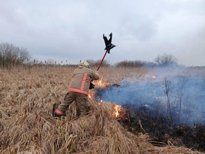 На Волині сталася пожежа в нацпарку