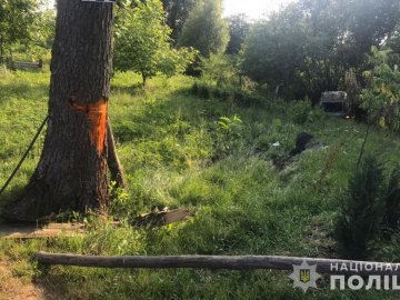 На Волині в аварії загинув 52-річний водій автівки