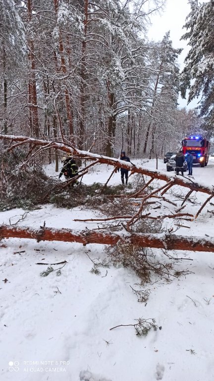 На Волині горів будинок та легковий автомобіль