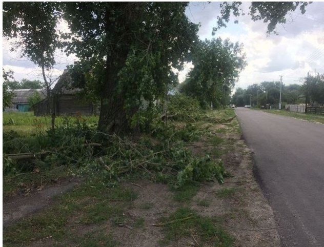 Зірвані дахи і поламані дерева: сильний вітер наробив лиха на Волині. ФОТО