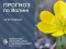 Погода в Луцьку та Волинській області на завтра, 20 березня