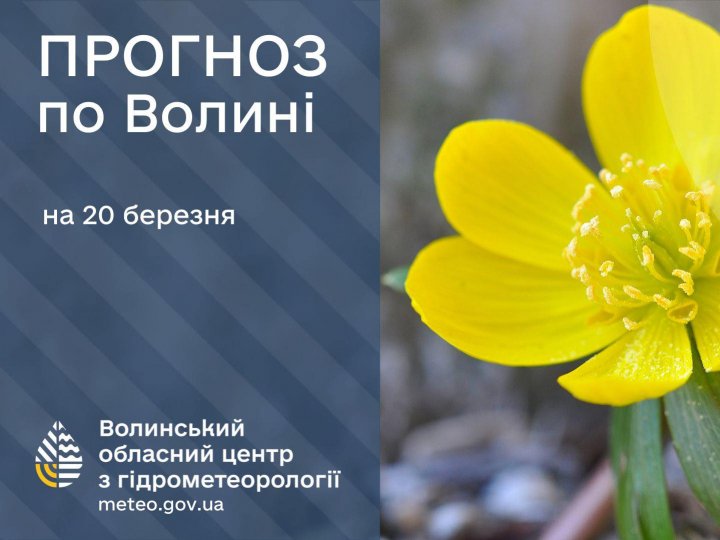 Погода в Луцьку та Волинській області на завтра, 20 березня