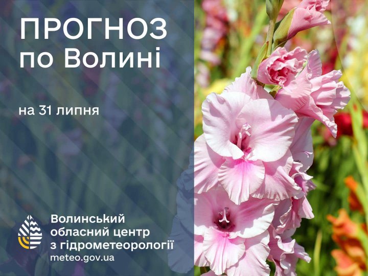 Погода в Луцьку та Волинській області на завтра, 31 липня