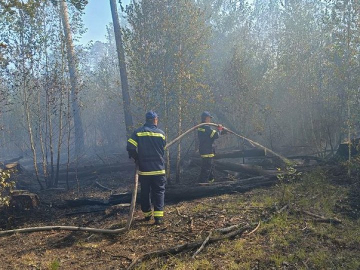 На Волині третю добу поспіль гасять лісову пожежу. ВІДЕО