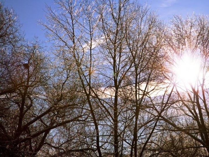 Сніжитиме лише один день: якою буде погода на Волині цього тижня