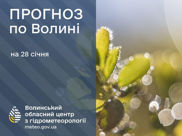 Погода в Луцьку та Волинській області на завтра, 28 січня