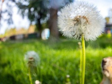 Погода на завтра, 7 червня, у Луцьку та Волинській області