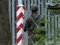 Польща та країни Балтії просять про оборонну лінію на кордоні з росією та Білоруссю