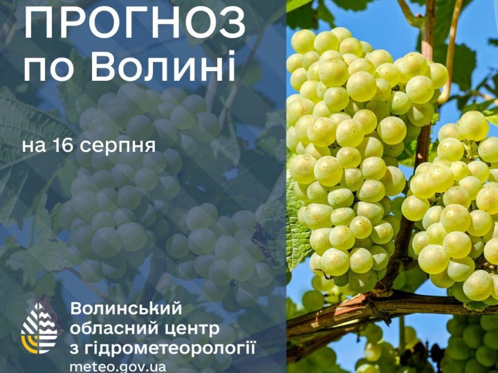 Погода в Луцьку та Волинській області на завтра, 16 серпня