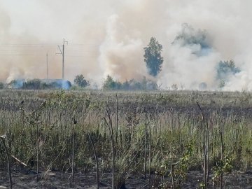 На Волині горів майже гектар сухої трави