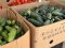 Сезон консервації: скільки коштують огірки у місті на Волині