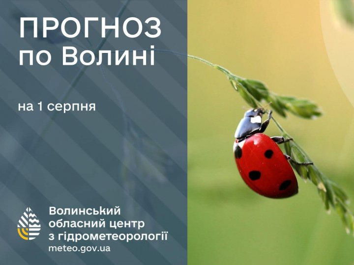 Погода в Луцьку та Волинській області на завтра, 1 серпня