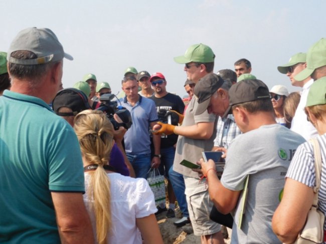 На День картоплі до села на Волині з'їхалися аграрії зі всієї України. ФОТО