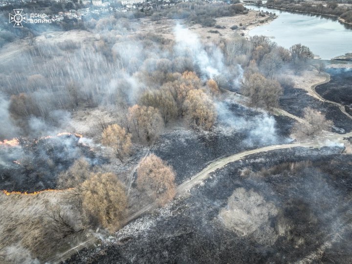 У Луцьку ліквідували масштабну пожежу сухостою на Гнідавському болоті