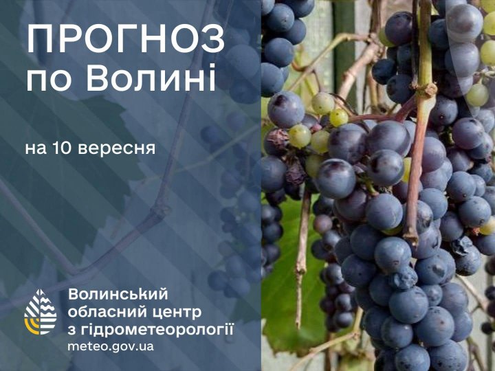 Погода в Луцьку та Волинській області на завтра, 10 вересня