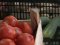 Неврожайний рік: ціни на огірки, помідори та кабачки на луцькому ринку