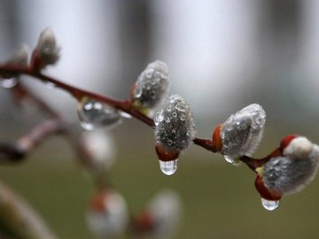 Погода у Луцьку на завтра, 2 березня