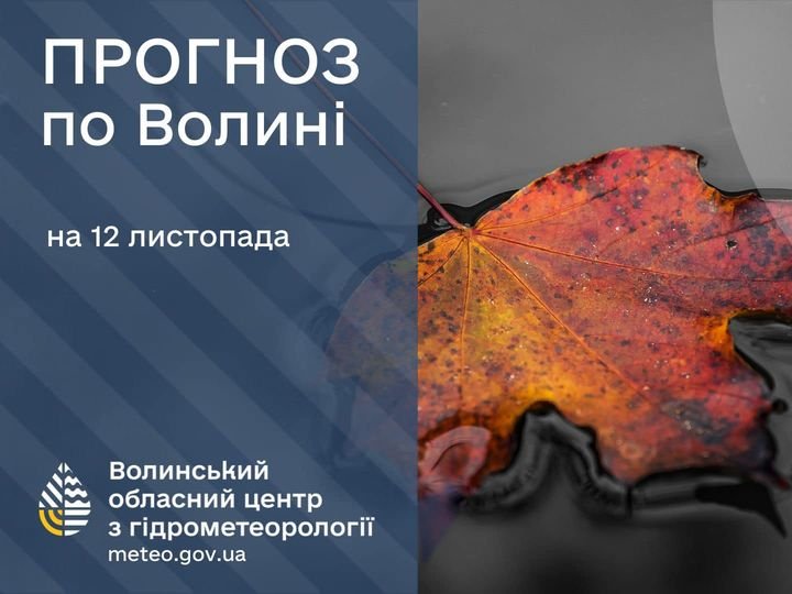 Погода в Луцьку та Волинській області на завтра, 12 листопада