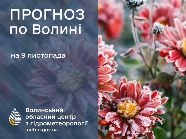 Погода в Луцьку та Волинській області на завтра, 9 листопада