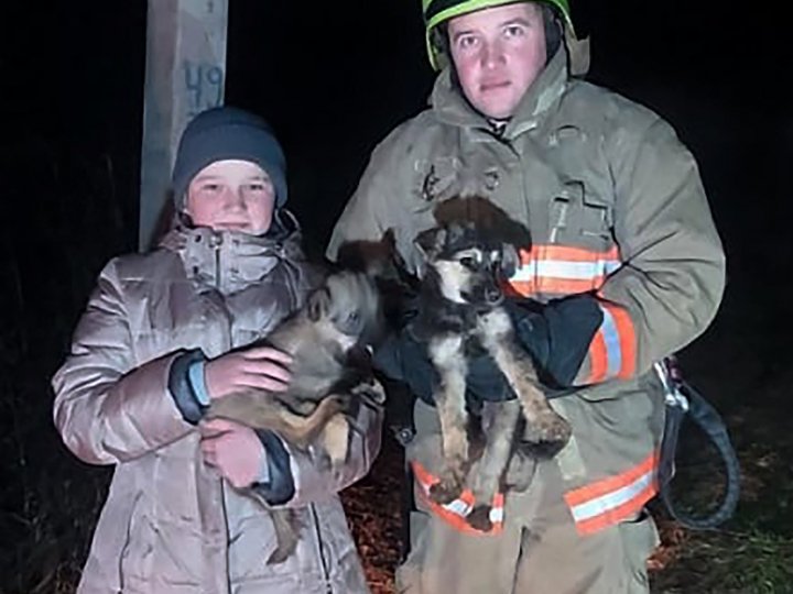 У Луцькому районі рятувальники визволили двох цуценят, які впали у семиметровий колодязь