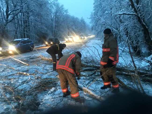 На Волині сильний вітер повалив дерева, які заблокували рух трасою