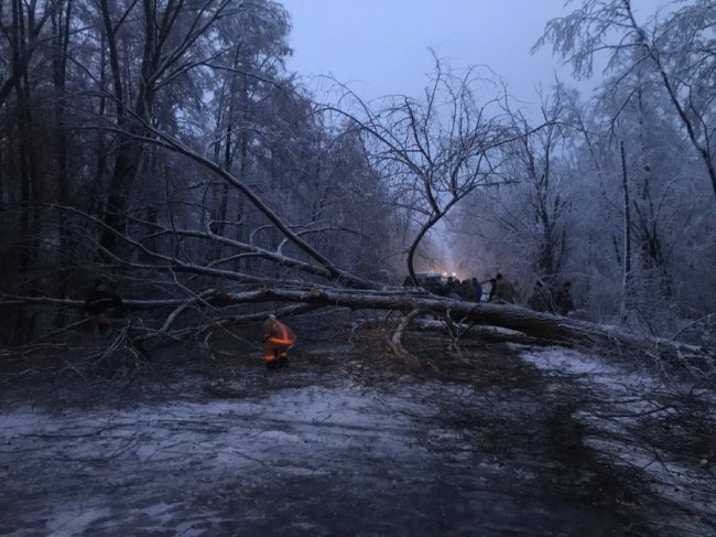 На Волині сильний вітер повалив дерева, які заблокували рух трасою