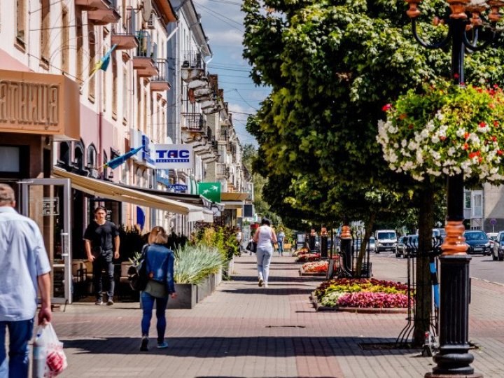 У Луцькій громаді висадять близько 1000 дерев