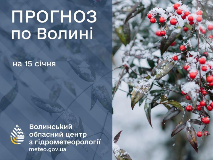 Погода в Луцьку та Волинській області на завтра, 15 січня