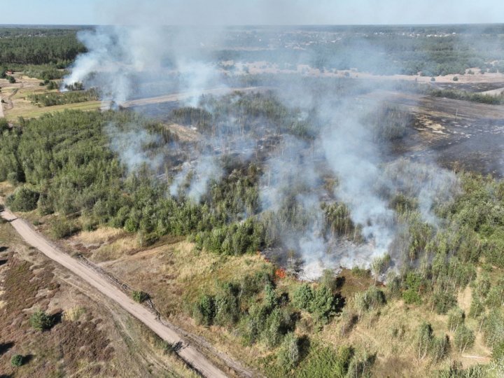 На Волині зловили шістьох паліїв сухостою