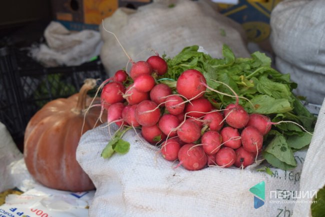 Показали, як пройшов перший день роботи продуктових ярмарків у Луцьку. ФОТО