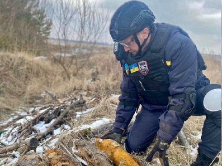 Волиняни біля поля знайшли 8 мінометних мін часів Другої світової війни