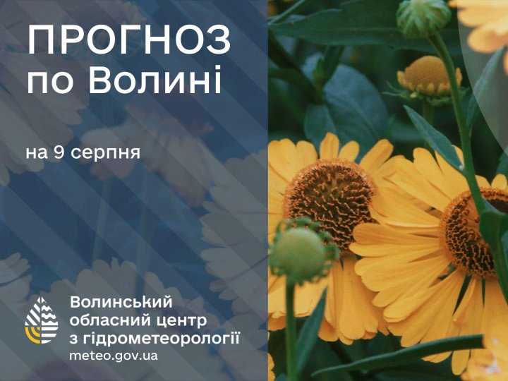 Погода в Луцьку та Волинській області на завтра, 9 серпня