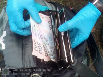 Як на Волині затримували банду фальшивомонетників: подробиці